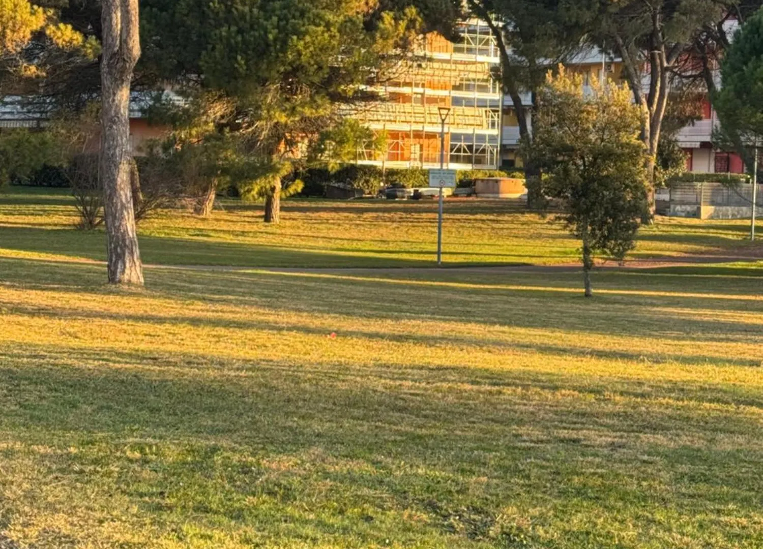 Bibione Landora Nummer 141 0*,