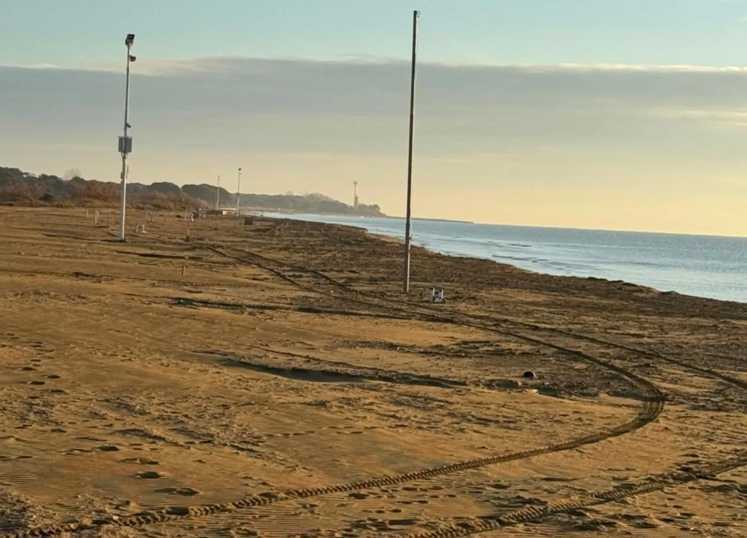 Bibione Landora Nummer 141
