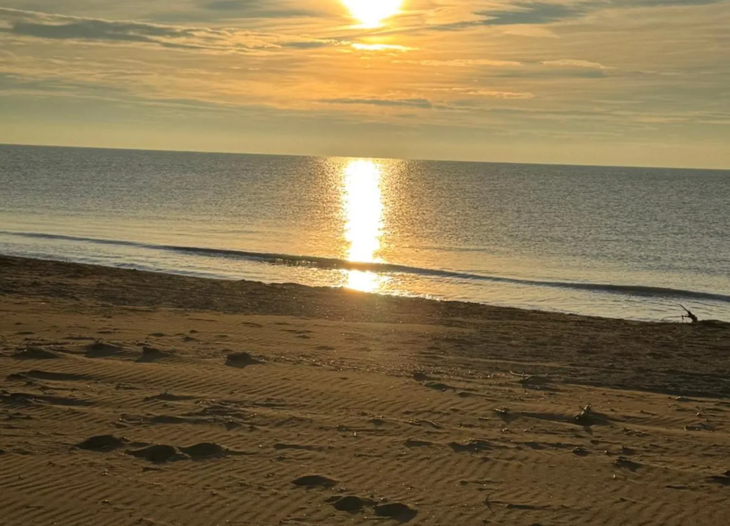 Bibione Landora Nummer 141 Italy