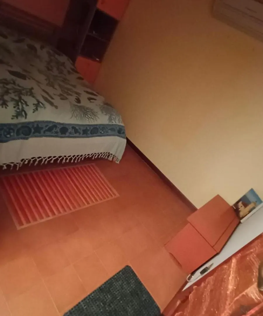 Bibione Landora Nummer 141